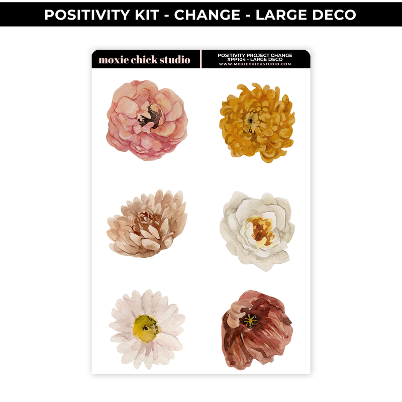 CHANGE POSITIVITY PROJECT - LARGE DECO - NEW RELEASE